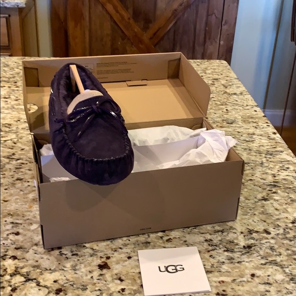 UGG Dakota Authentic New in the box - Picture 5 of 5